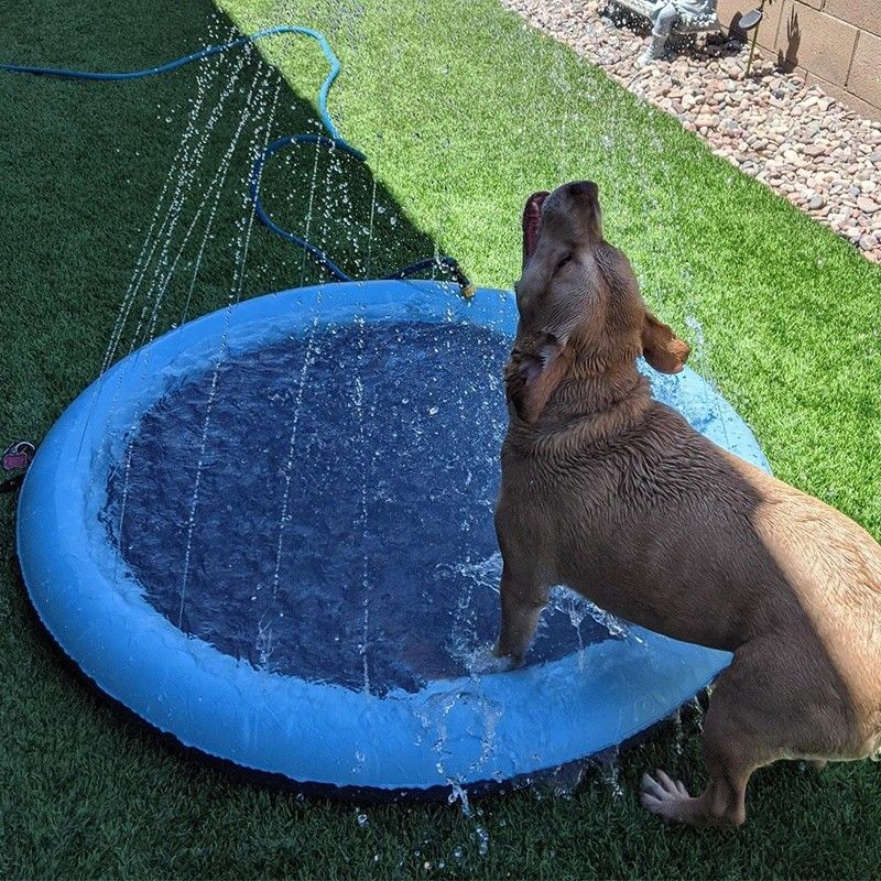 LC Wasser-Spritz-Sprinkler für Hunde Haustier Dusch-Sprinkler PVC Haustier-Spielzeug Hunde-Sprinkler
