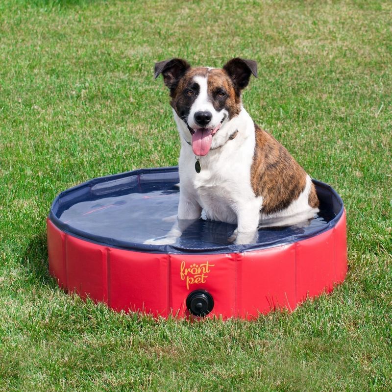 Reinigungswerkzeug 120cm Tragbare Hundebadewanne für Zuhause Klappbecken